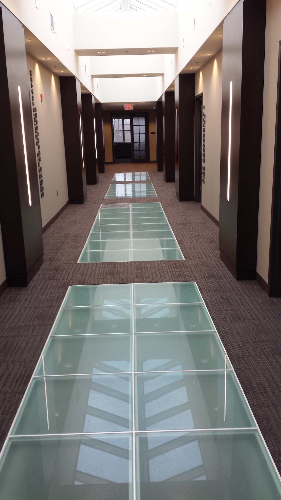 glass-deck-panels