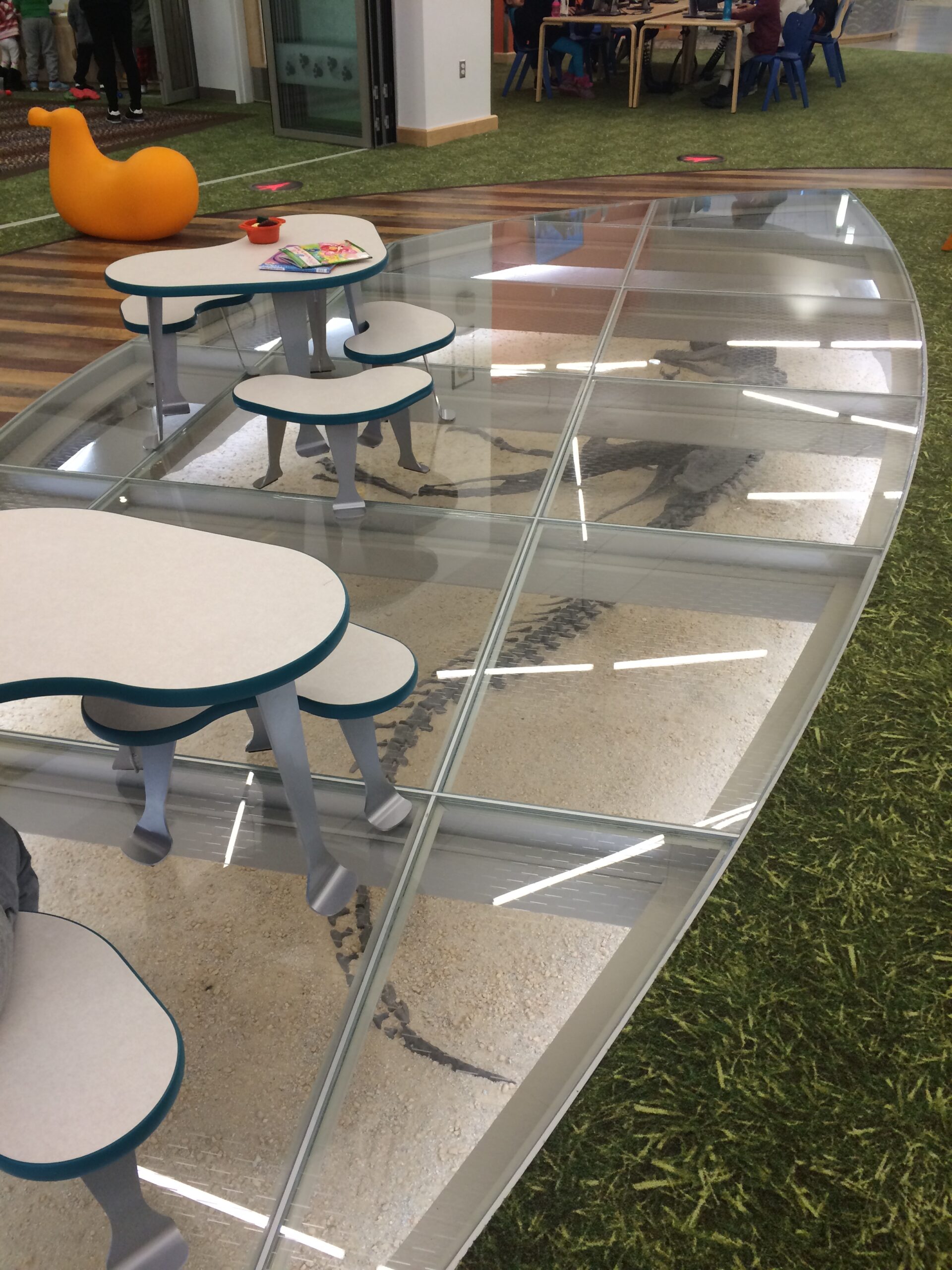 glass-floor-design